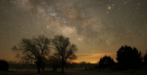 A starry night sky filled with the Milky Way, silhouetted trees in the foreground, and a soft glow on the horizon.