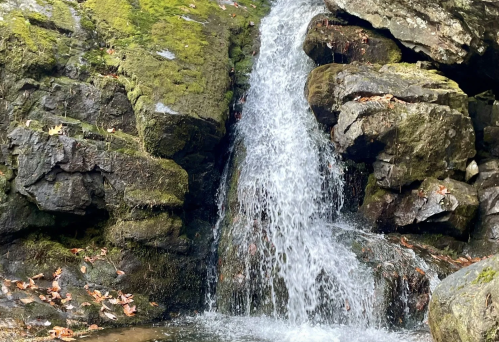 A small waterfall cascading over moss-covered rocks, surrounded by fallen leaves and natural greenery.