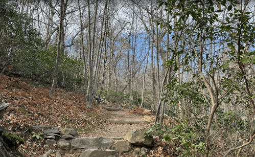 A winding stone path through a forest with bare trees and scattered leaves under a partly cloudy sky.