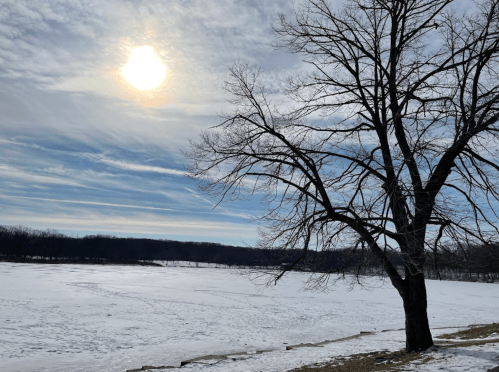 A bare tree stands by a frozen river under a cloudy sky with a bright sun shining in the background.
