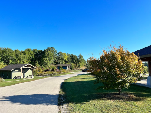 A peaceful pathway lined with trees and small buildings under a clear blue sky.