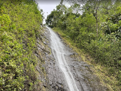 A cascading waterfall flows down a rocky slope, surrounded by lush green vegetation and trees.