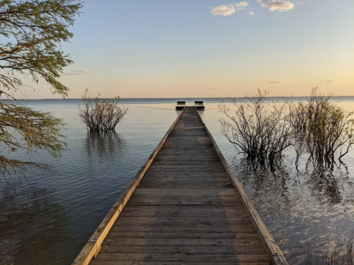 A wooden dock extends into calm water, surrounded by sparse vegetation, under a soft sunset sky.
