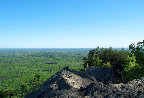 A panoramic view of lush green forests under a clear blue sky, seen from a rocky outcrop.