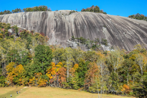 A large, smooth rock face rises above a forest of colorful autumn trees under a clear blue sky.