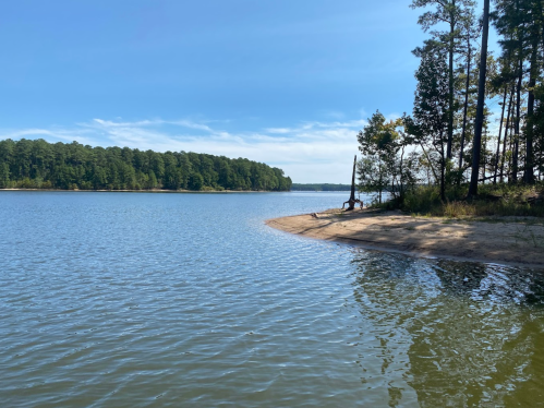 A serene lake scene with a sandy shore, surrounded by trees under a clear blue sky.
