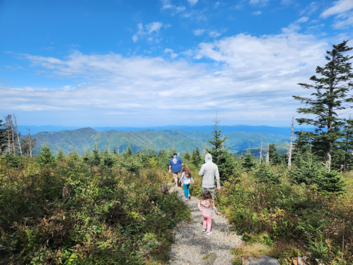 A family walks along a trail in the mountains, surrounded by greenery and a scenic view of distant hills under a blue sky.