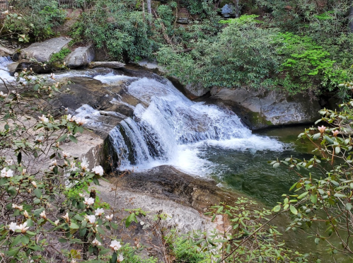 A serene waterfall cascades over rocks, surrounded by lush greenery and blooming flowers.