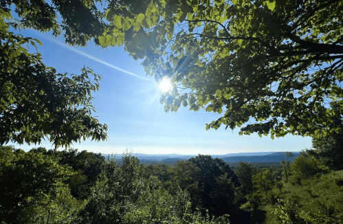 A sunlit landscape framed by green leaves, showcasing rolling hills under a clear blue sky.