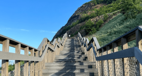 A wooden staircase leads up a hillside, surrounded by greenery and a clear blue sky.