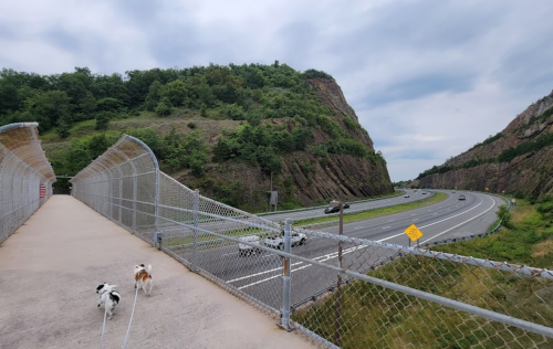 Two dogs walk along a fenced path overlooking a highway and green hills under a cloudy sky.