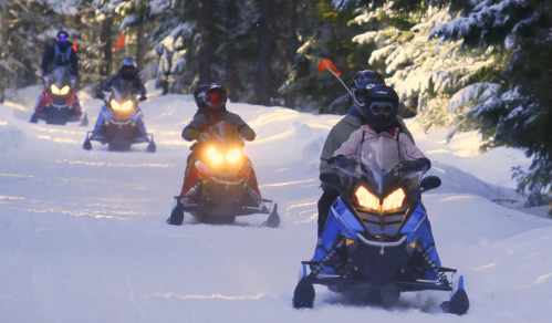 A group of snowmobiles riding through a snowy forest trail, with trees and winter scenery in the background.