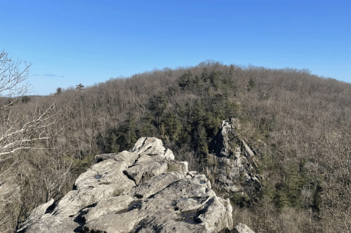 A rocky outcrop overlooks a wooded hillside under a clear blue sky.