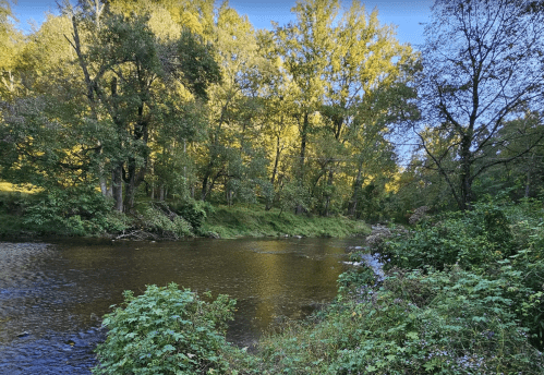 A serene river flows through a lush, green landscape with trees reflecting autumn colors.