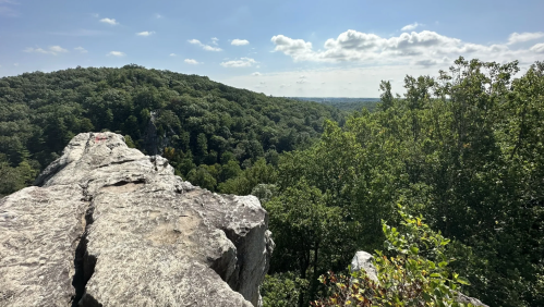 A rocky ledge overlooks a lush green forest under a bright blue sky with scattered clouds.