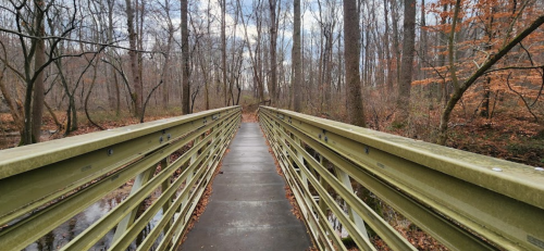 A green metal bridge stretches through a wooded area with bare trees and hints of autumn foliage.