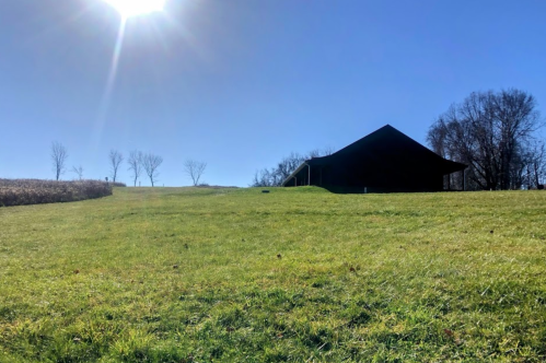 A sunny day with a clear blue sky, featuring a green field and a dark barn in the background.