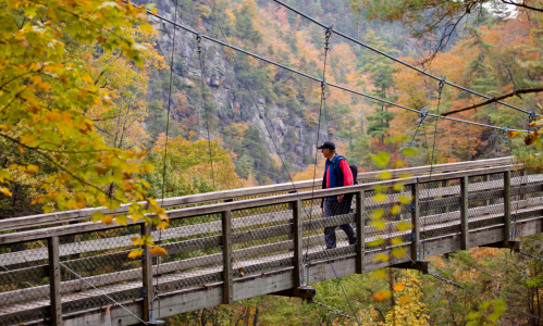 A person walks across a wooden suspension bridge surrounded by colorful autumn foliage and rocky cliffs.