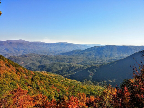 A panoramic view of rolling mountains covered in vibrant autumn foliage under a clear blue sky.