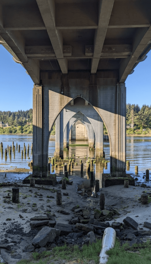 View of a bridge's understructure over calm water, with reflections and remnants of old pilings visible on the shore.