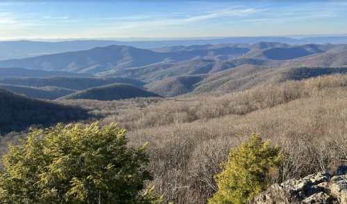 A panoramic view of rolling mountains with bare trees under a clear blue sky.