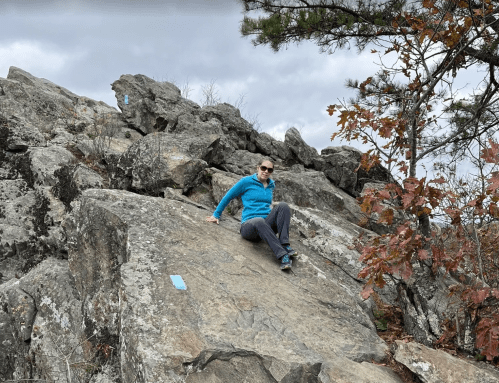 A person in a blue jacket sits on a large rock formation, surrounded by trees and cloudy skies.