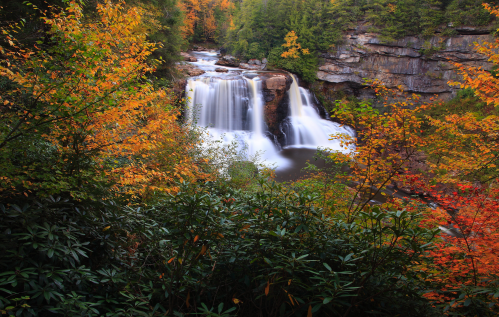 A serene waterfall surrounded by vibrant autumn foliage in a lush forest setting.