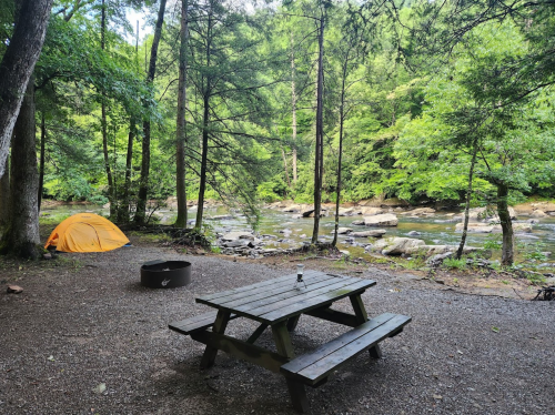 A campsite with a yellow tent, picnic table, and fire pit by a river surrounded by lush green trees.
