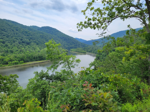 Lush green trees frame a serene river winding through mountains under a cloudy sky.