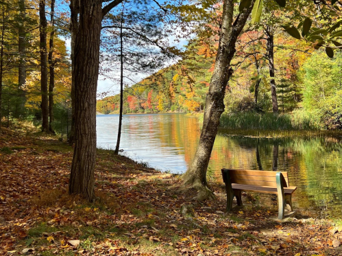 A serene lakeside scene with autumn foliage, featuring a wooden bench beside calm waters reflecting colorful trees.