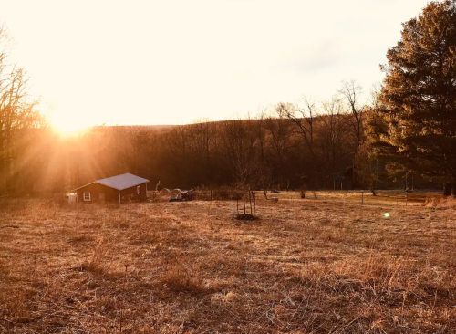 A sunlit landscape featuring a small red cabin surrounded by trees and a grassy field at sunset.