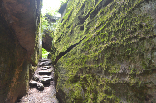 Narrow stone pathway between moss-covered rock walls, surrounded by lush greenery.