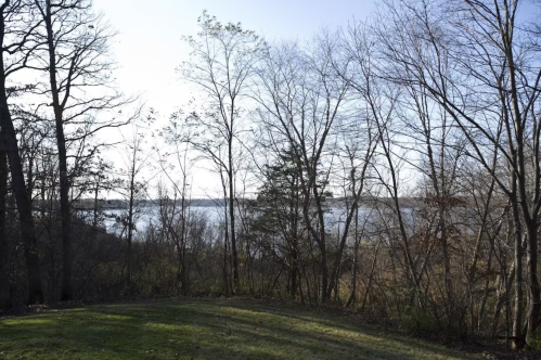 A serene view of a lake surrounded by bare trees under a clear sky.