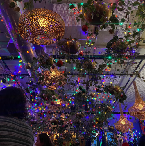A vibrant indoor space with colorful lights and hanging plants, creating a cozy, festive atmosphere.