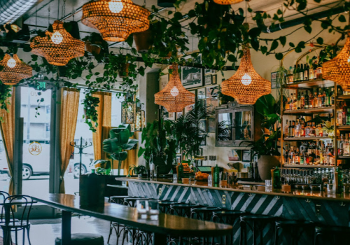 A cozy bar interior with woven pendant lights, lush plants, and a well-stocked shelf of spirits.