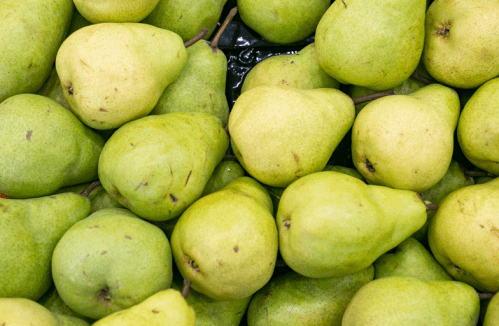 A close-up of numerous green pears piled together, showcasing their smooth skin and varying shapes.