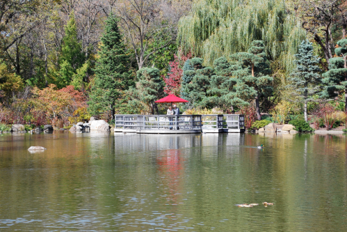 A serene pond with a wooden platform and a red umbrella, surrounded by colorful trees and greenery.