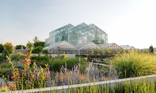 A modern greenhouse surrounded by colorful flowers and lush greenery under a clear sky.