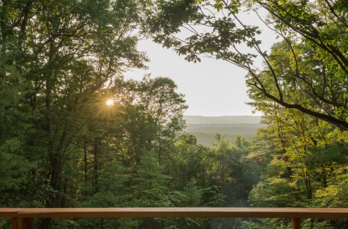 Sunlight filters through trees, illuminating a serene forest landscape with distant mountains in the background.