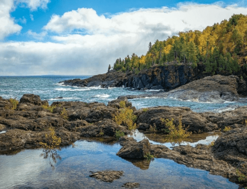 Rocky shoreline with autumn foliage, calm waters, and a cloudy sky over the ocean.