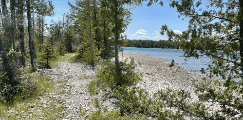 A serene lakeside scene with rocky shorelines, surrounded by green trees and a clear blue sky.