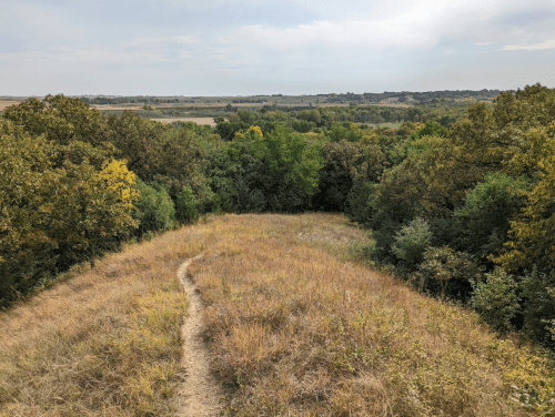 A scenic view of a grassy path leading through trees, overlooking a lush landscape under a cloudy sky.