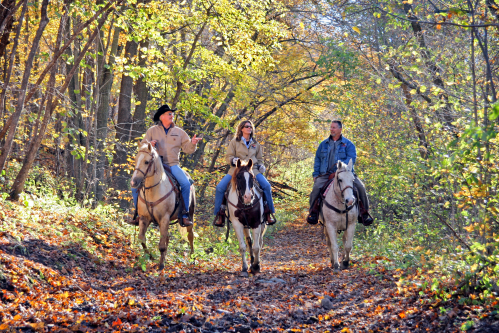 Three people on horseback ride along a wooded trail, surrounded by colorful autumn foliage.