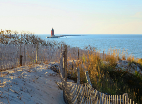 A sandy beach with tall grass and a wooden fence, featuring a lighthouse in the distance against a clear blue sky.