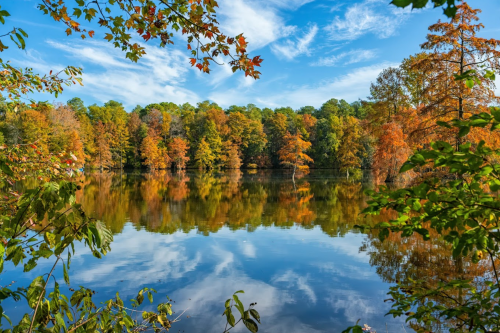 A serene lake surrounded by vibrant autumn foliage and a clear blue sky, reflecting the colorful trees.