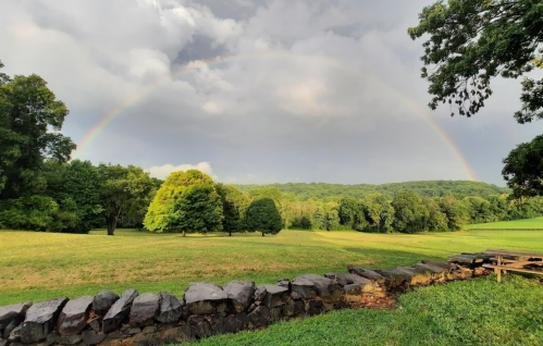 A vibrant rainbow arcs over a lush green landscape, with trees and a stone wall in the foreground.