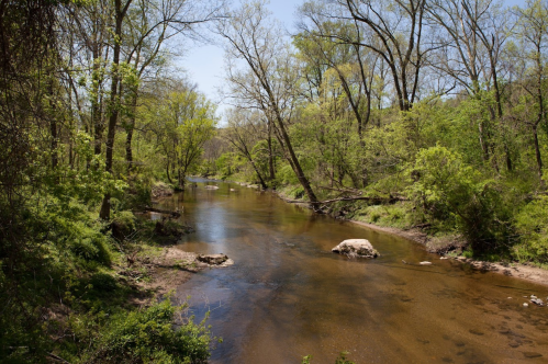 A serene river flows through a lush green landscape with trees and rocks under a clear blue sky.