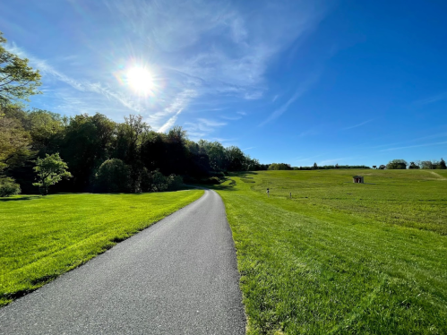 A winding path through a lush green landscape under a bright blue sky with the sun shining.