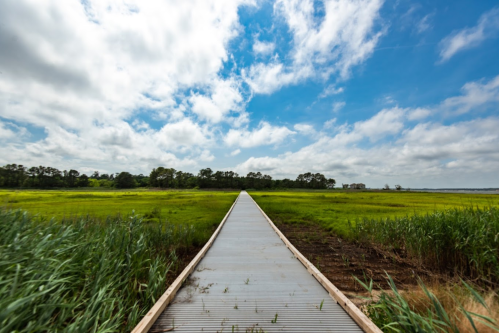 A wooden boardwalk stretches through lush green fields under a partly cloudy sky.