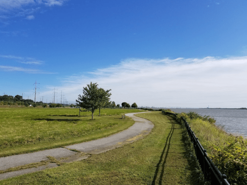 A scenic pathway along a river, lined with grass and trees, under a clear blue sky with distant power lines.